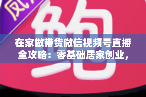 在家做带货微信视频号直播全攻略：零基础居家创业，一部手机开启副业变现之路